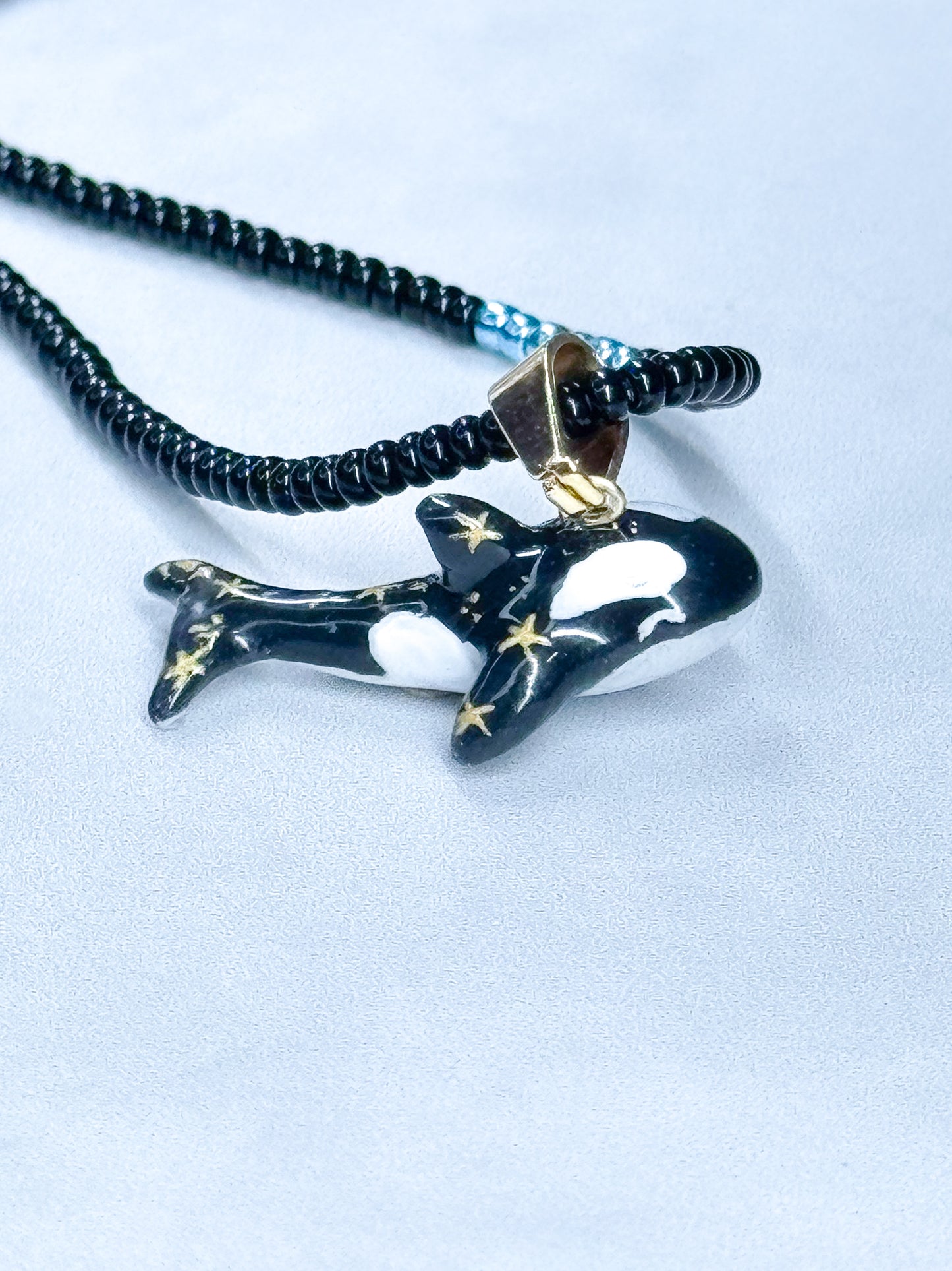 Ballena orca