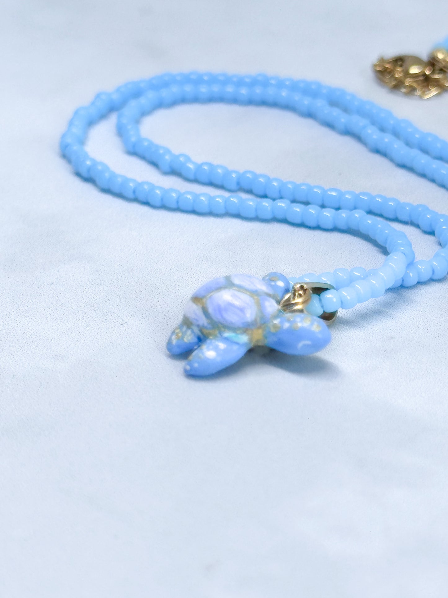 Tortuga