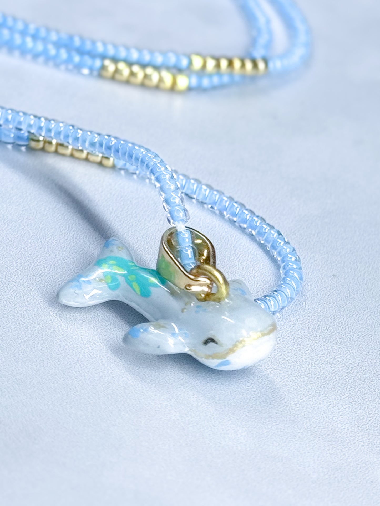 Ballena Jorobada