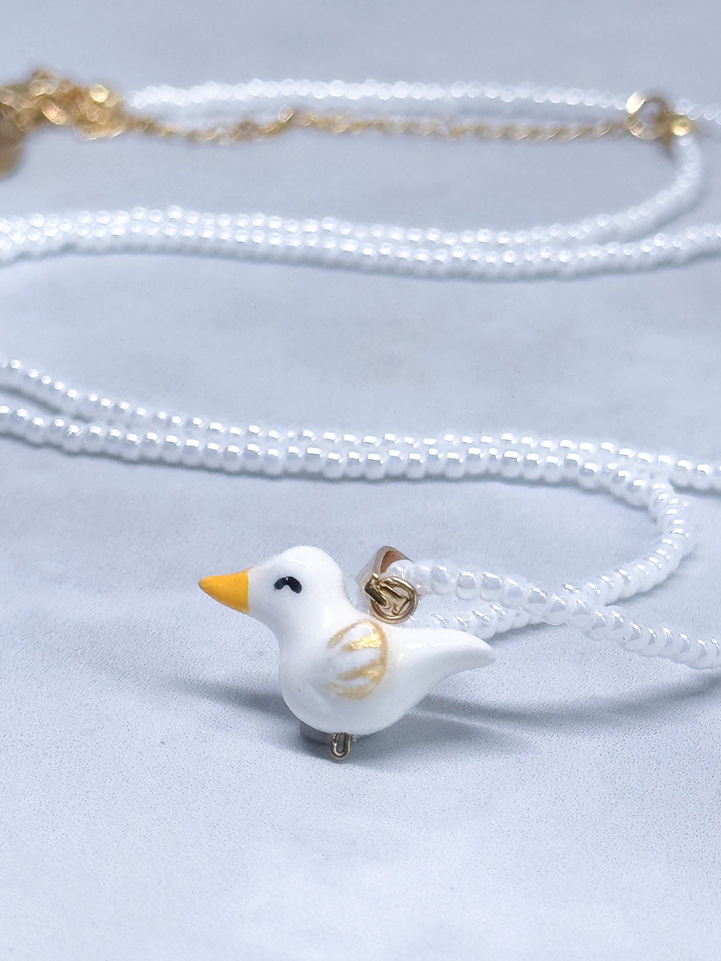 Pato